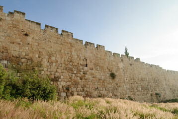 A section of the stone ramparts and walls of the Old City of Jerusalem, in springtime with grass, flowers and olive trees. © Yehoshua Halevi