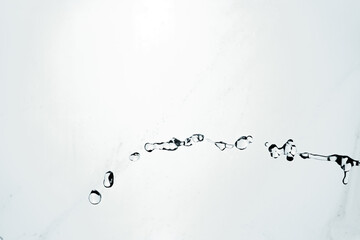 Water splash isolated on blue background. Transparent realistic water with movement and drops. Dynamic flight of water drops.
