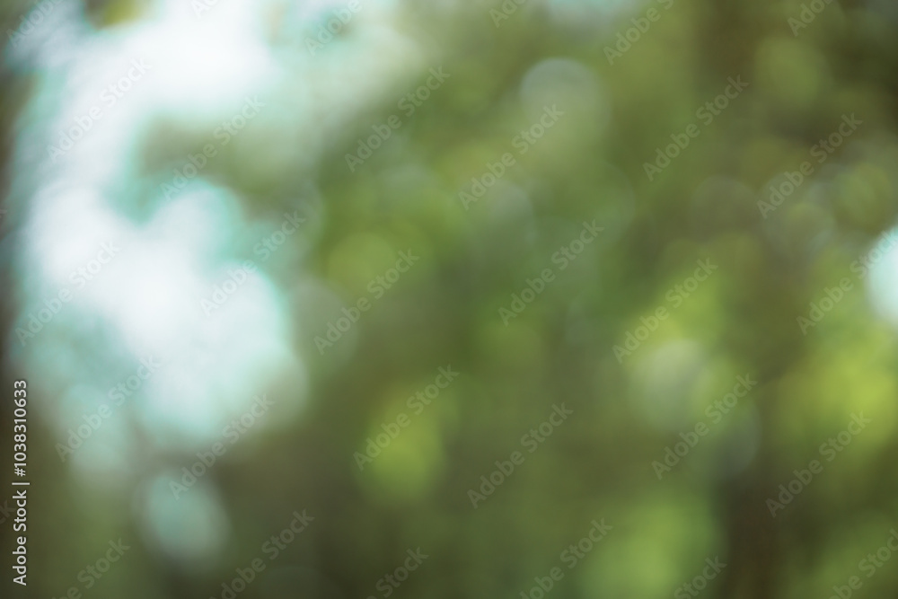 Poster forest background out of focus. soft image with sunny weather. round bokeh. autumn warm colors on a 