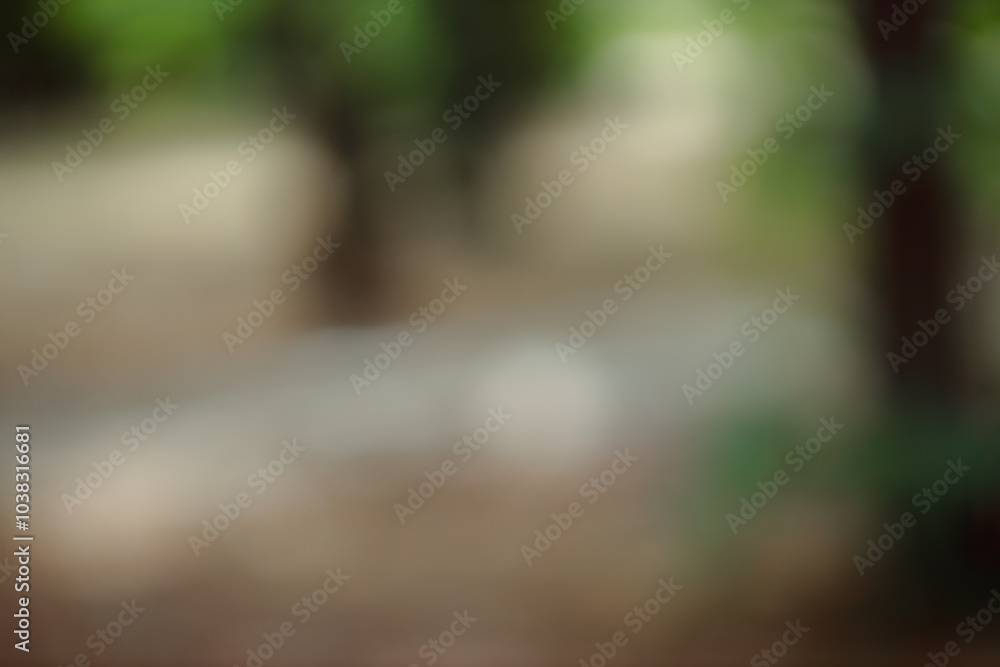 Poster forest background out of focus. soft image with sunny weather. round bokeh. green background for des