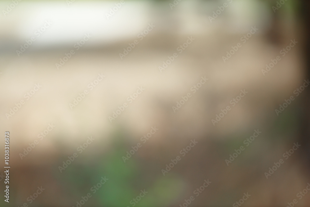 Poster Forest background out of focus. Soft image with sunny weather. Round bokeh. Green background for design.