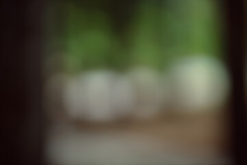Forest background out of focus. Soft image with sunny weather. Round bokeh. Green background for design.