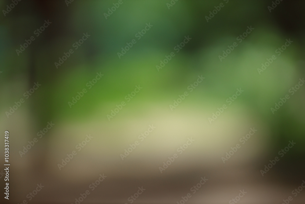 Poster Forest background out of focus. Soft image with sunny weather. Round bokeh. Green background for design.