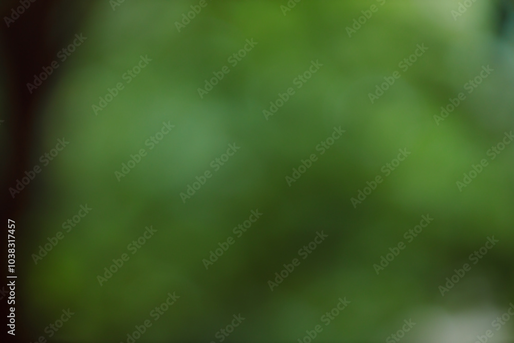 Poster Forest background out of focus. Soft image with sunny weather. Round bokeh. Green background for design.