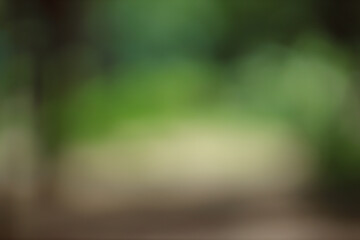Forest background out of focus. Soft image with sunny weather. Round bokeh. Green background for design.