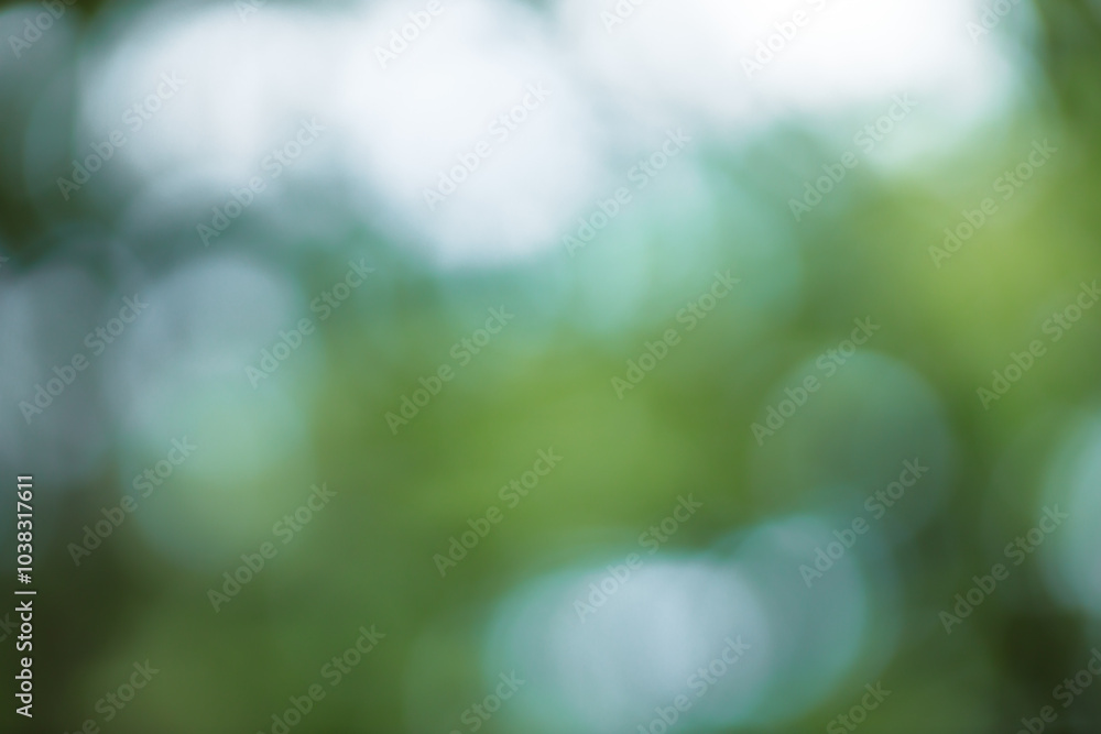 Aufkleber forest background out of focus. soft image with sunny weather. round bokeh. green background for des