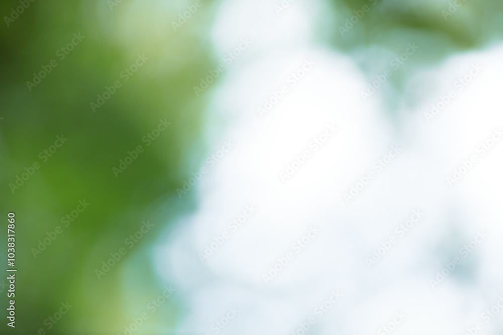 Aufkleber forest background out of focus. soft image with sunny weather. round bokeh. green background for des