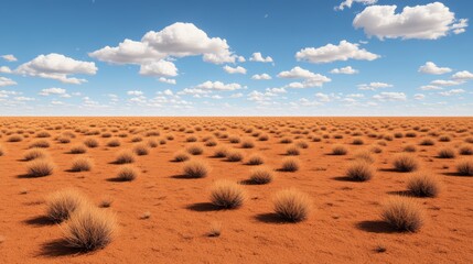 Vast desert landscape with sparse vegetation and blue sky.