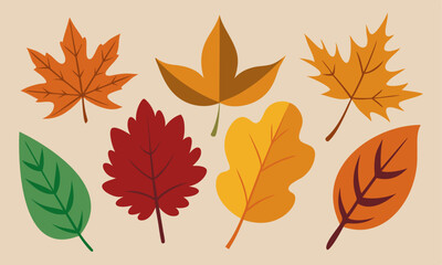 Autumn Leaves Design Elements, flat illustrations