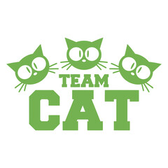 3 Cats Team Three Friends Crew Group Adorable Cat Looks Happy Sweet Little Smile Face Kitten Pets Funny Cartoon Cute Lovers Comic Fun Love Kittens Adorable Feline Playful Kitties Fur Baby Paw Owners