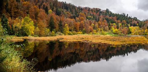 Herbststimmung am Nonnenmattweiher