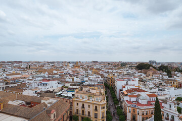 Obraz premium view of the city