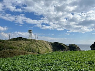 三浦半島の風景