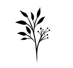 silhouette of a tree on white background