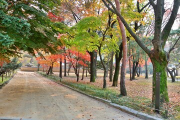 Naklejka premium 조선시대 종묘의 가을 풍경