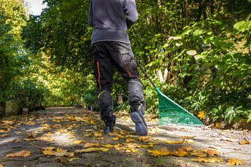 Mit dem Rechen im Herbst Laub fegen gegen. 