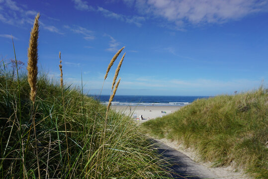 D&uuml;ne an der Nordsee