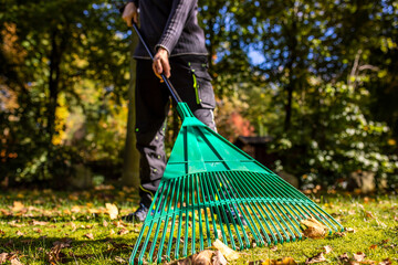Ein Mann mit einem Rechen aus Plastik um Laub im Herbst zusammen zu fegen.