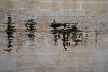 Grungy old stained wall texture