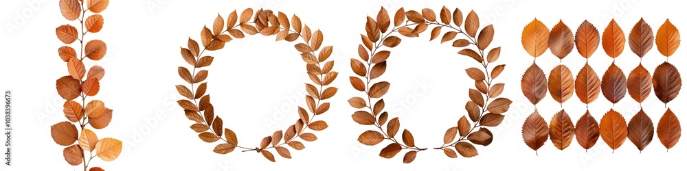 Poster natural brown leaves arranged in circular and linear patterns, isolated on a white background.