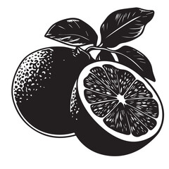 Grapefruits In cartoon, hand-drawn flat style. image for social media, websites and UI. Isolated 2D vector design in logo, icon, sketch style, simple line vector, single color. AI Generative Art.