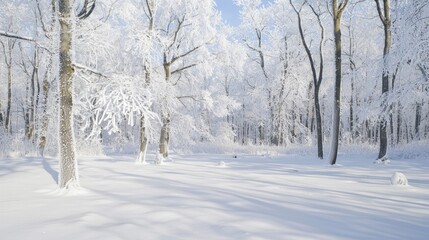 Obraz premium Glacial Silence: Stunning Image of a Frozen Forest with Snow-Covered Trees and Cracking Ice in Ice Age Environment