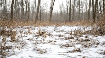 Frozen Marshland in Ice Age Environment - Ultra-Detailed Winter Scene of Snow-Covered Wetland and Frosty Forest