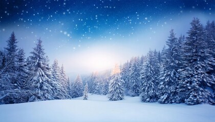 Fototapeta premium Winter wonderland scenery 