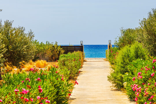 Beautiful garden path lined with green shrubs and blooming pink flowers leading to Mediterranean sea on bright sunny day. Crete. Greece.