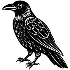 Obraz premium crow on a white background