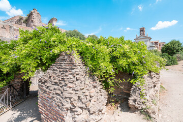 architecture, ancient heritage of Roman forum
