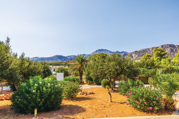 Lush garden with oleander bushes and palm tree in front of scenic mountain landscape on clear day....