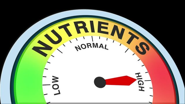 Nutrients Level Text or Word Low and Medium to High Meter Concept Animation on Black Background and Blue Screen