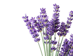 Obraz premium Gesundes Essen