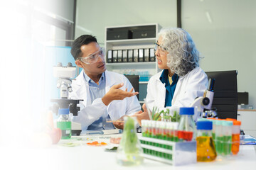 Control experts inspect the concentration of chemical residues. hazards, standard, find prohibited substances, contaminate.