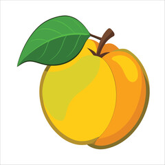 vector illustration of quince
