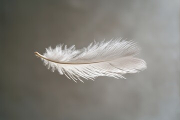 Soft Feather Floating in Air with Gentle Focus