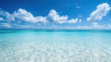 Tranquil Ocean Horizon Under Clear Blue Sky