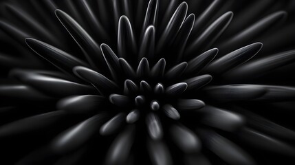 Obraz premium Close-up overhead macro of sea urchin shell, intricate textures, high-contrast black and white, Spikes and natural patterns, for scientific and artistic use