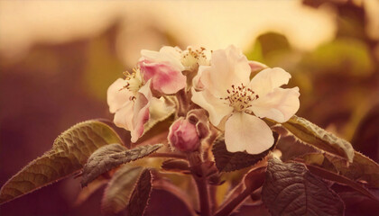 botanical retro vintage