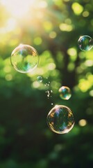 A collection of shimmering soap bubbles floating gracefully in a sunlit green setting, creating a serene and uplifting atmosphere.