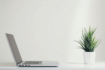 Sleek Minimalist Desk Setup with Laptop and Plant