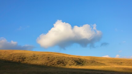 A fluffy cloud casting a shadow on a sunny hillside.