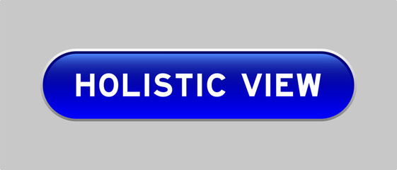 Blue color capsule shape button with word holistic view on gray background