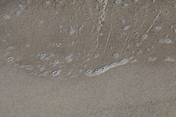 Close-Up of Gentle Ocean Foam Touching Wet Sandy Shore