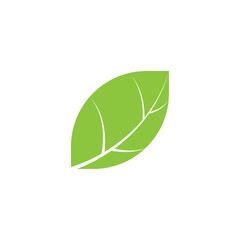 The image shows a green leaf. It has an oval shape with a central vein from which lateral veins extend. The leaf symbolizes nature, growth, freshness