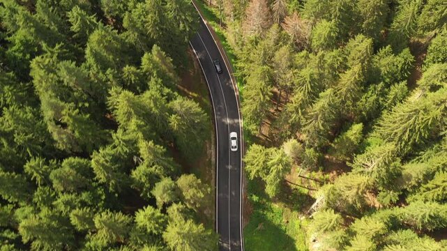 Drone Flight Over Two SUV Cars Traveling on Road Through Pine Forest in Pirin Mountains in Bulgaria