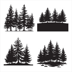 Fototapeta premium evergreen trees silhouette