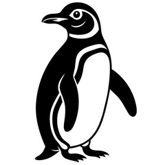 penguin on a white