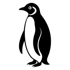 penguin on a white background